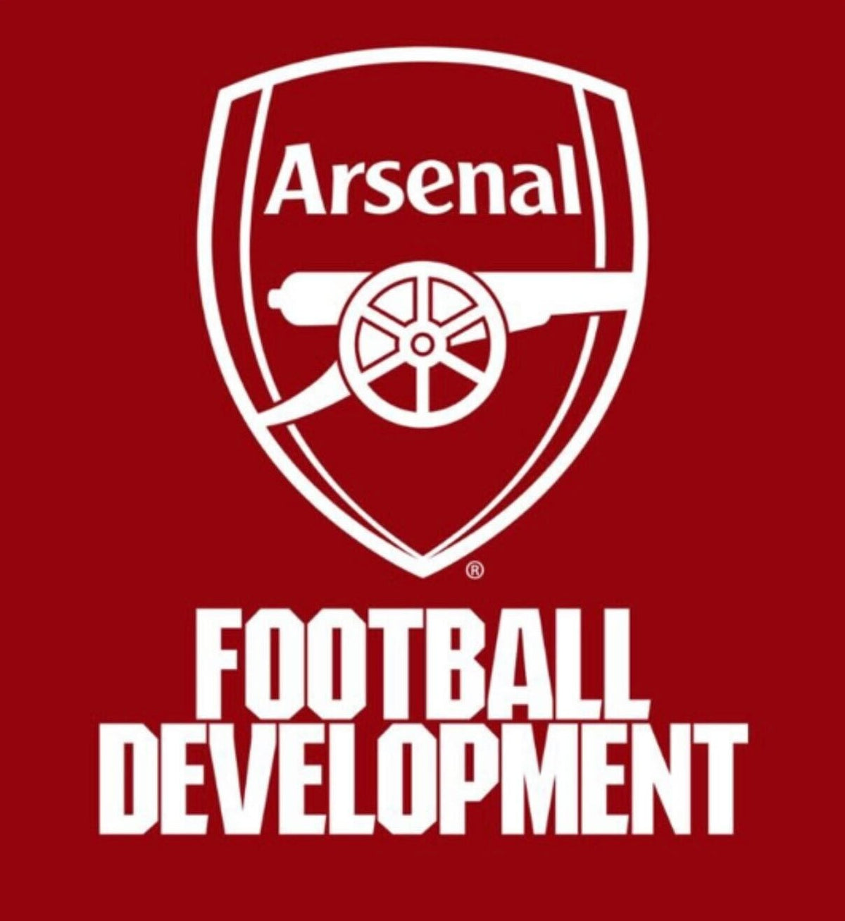 Arsenal EU Camps